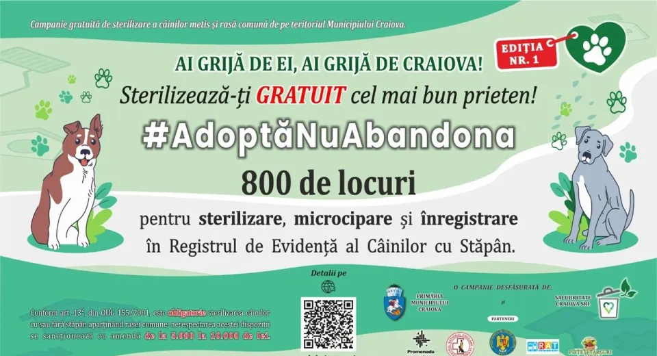 Foto Primăria Craiovei dă startul unei campanii gratuite de sterilizare a câinilor cu stăpân