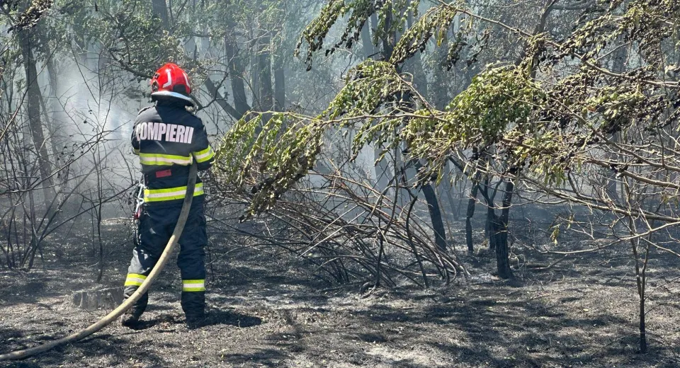 Foto Incendiu de vegetație în localitatea Ciupercenii Vechi