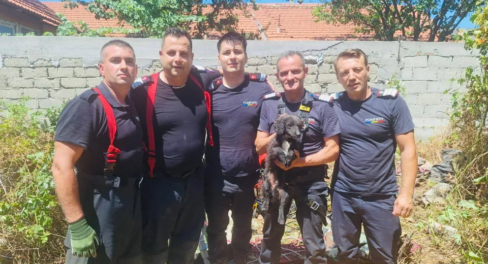 Foto MEHEDINȚI: Cățel salvat de pompieri după ce a căzut într-o fântână de 20 de metri, la Cerneți
