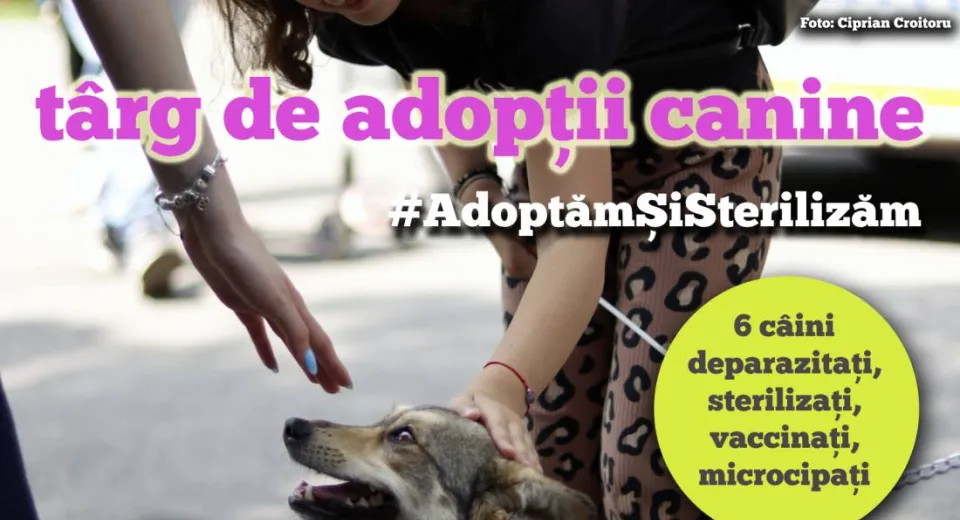 Foto Târg de adopții canine organizat în Parcul „Nicolae Romanescu” din Craiova
