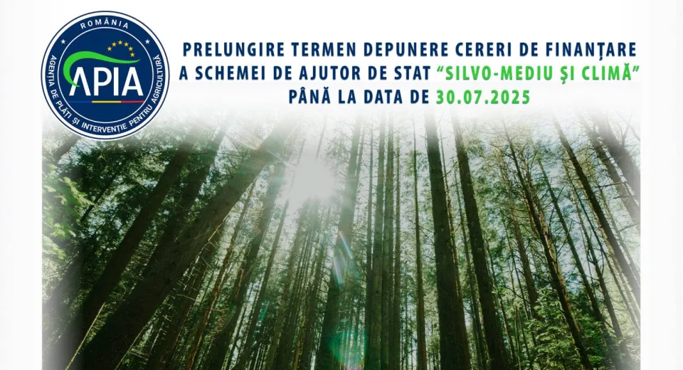 Foto APIA prelungește termenul pentru depunerea cererilor de finanțare „Silvo-mediu și climă”