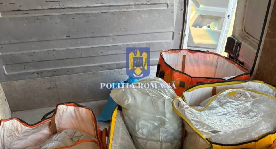 Foto Tânăr prins cu peste 240 kg de tutun la Bechet. Reținut de polițiști 