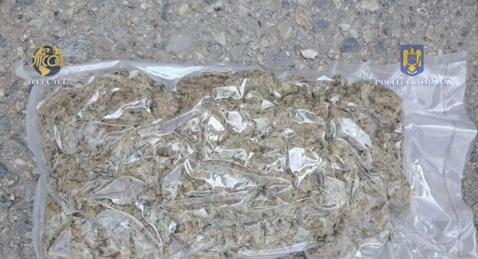 Foto DOLJ: Droguri ascunse printre alimente. 48 kg de canabis trimise din Spania

