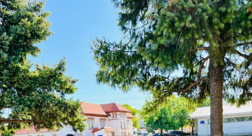 Foto De la joacă la prevenție. Copiii din Băilești învață cum să fie în siguranță