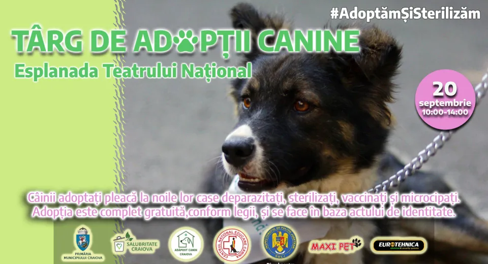 Foto Târg de adopții canine în centrul Craiovei, pe 20 septembrie