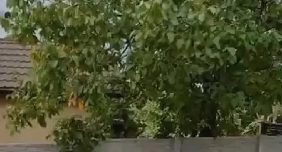 Foto Reținut după ce a agresat un bărbat într-un bar din Dobrești
