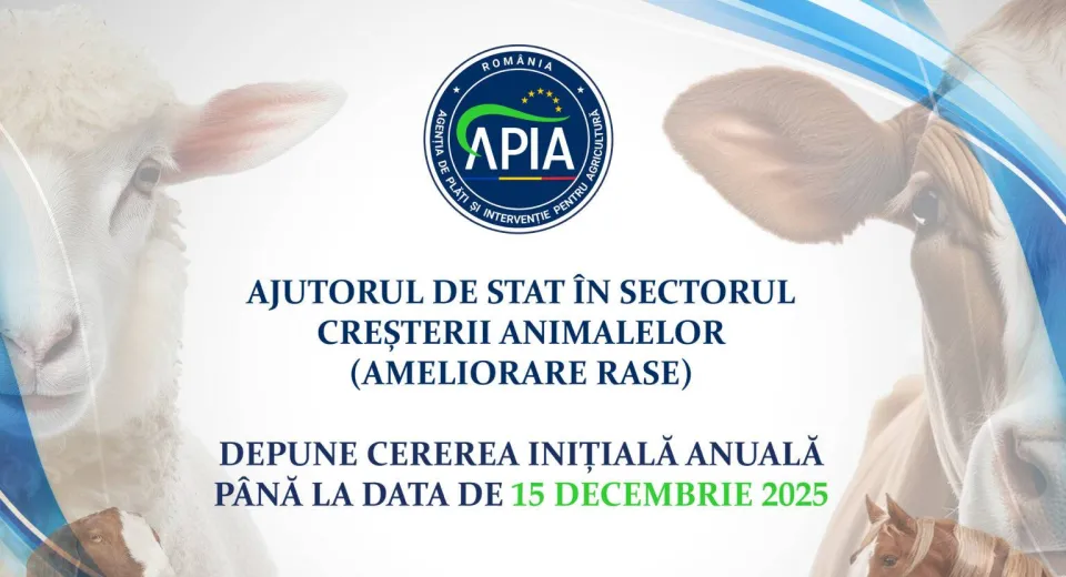 Foto APIA: Termen-limită 15 decembrie pentru cererile de ajutor de stat în sectorul creșterii animalelor