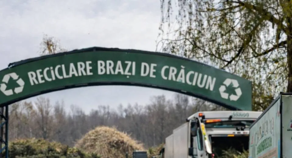 Foto Campanie de reciclare a brazilor de Crăciun în Craiova