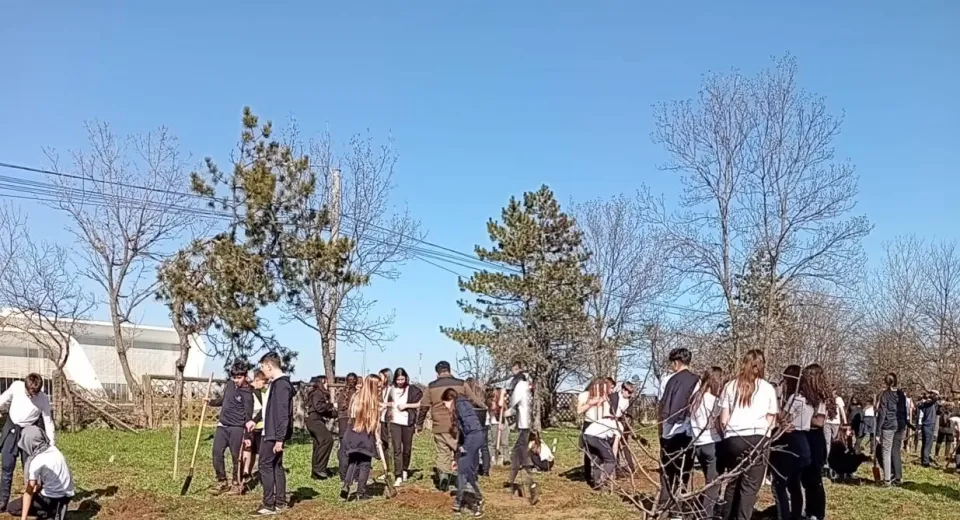 Foto Kiwanis Craiova plantează prima pădure urbană dedicată polenizatorilor