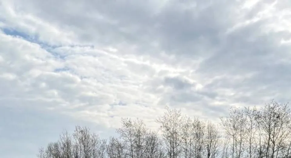 Foto GORJ: Operator economic amendat pentru încălcarea regimului deșeurilor în Drăguțești