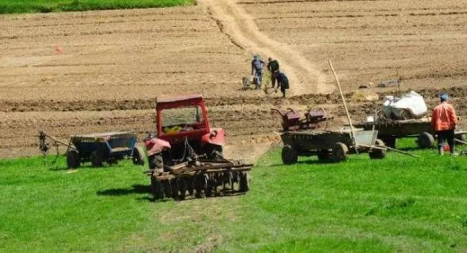 Foto Noile impozite pe veniturile din activităţi agricole