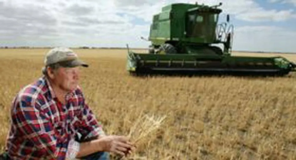 Foto ANAF organizează un webinar dedicat veniturilor din arendarea bunurilor agricole
