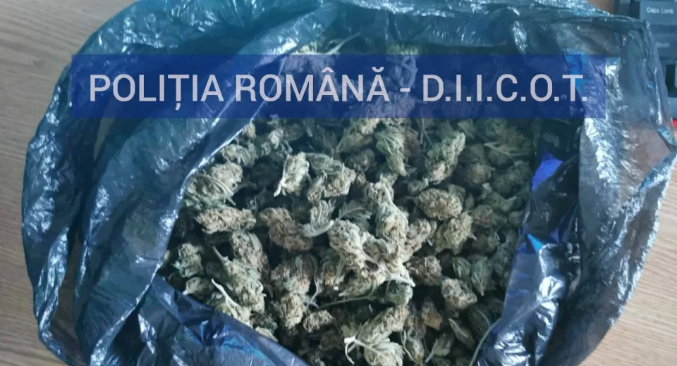 Foto Slatina: Prinși în flagrant când voiau să vândă canabis
