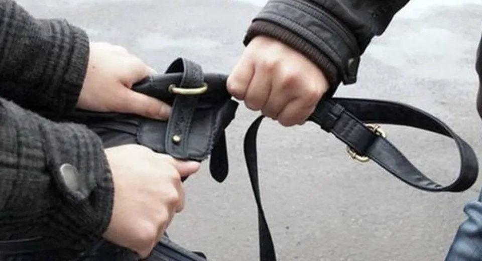 Foto Prins după două săptămâni de la furt
