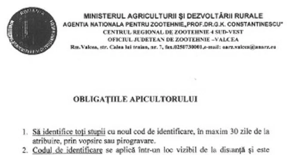 Foto La Horezu se numără albinele…