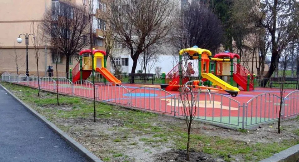 Foto Râmnicu Vâlcea: Primii arbori plantați de Piețe Prest SA