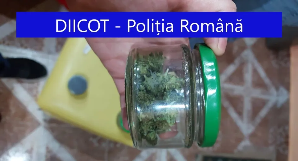 Foto Bărbat din Mehedinți, reținut după ce a fost descoperit că avea o cultură de canabis