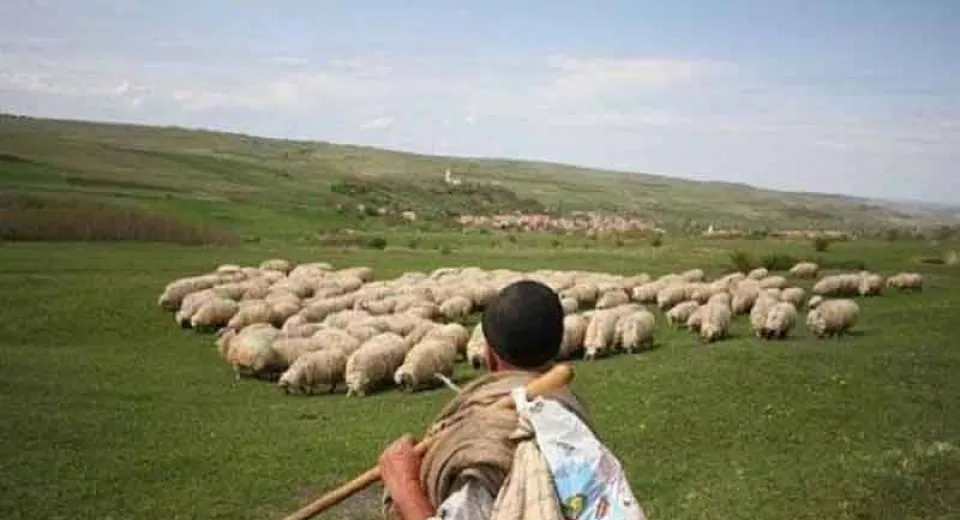 Foto Ministrul Agriculturii discută noi măsuri cu fermierii de ovine. O nouă fabrică de prelucrare a lânii în județul Olt
