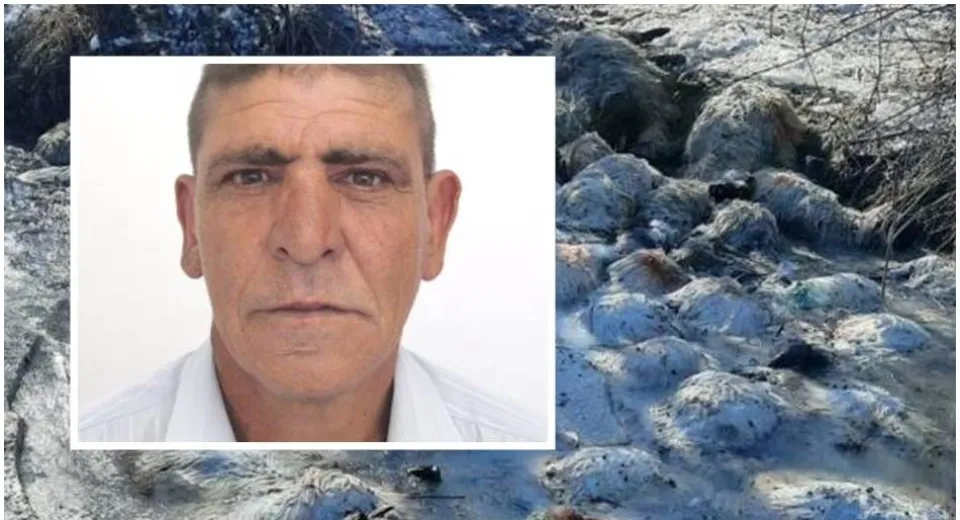 Foto Cioban din Olt, de negăsit după ce oile pe care le păzea au fost găsite înecate într-un pârâu