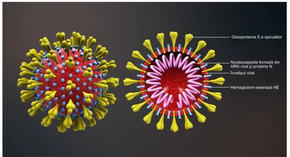 Foto OMS: varianta COVID din India este „îngrijorătoare, are un anumit grad de rezistenţă la vaccinuri”