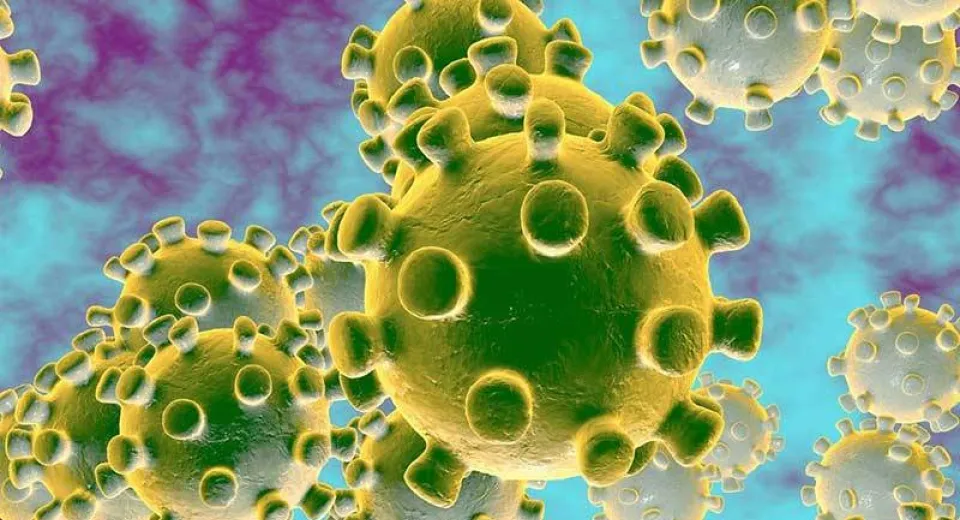 Foto Coronavirus: epidemia ar urma să se stabilizeze abia la sfârșitul lunii aprilie 