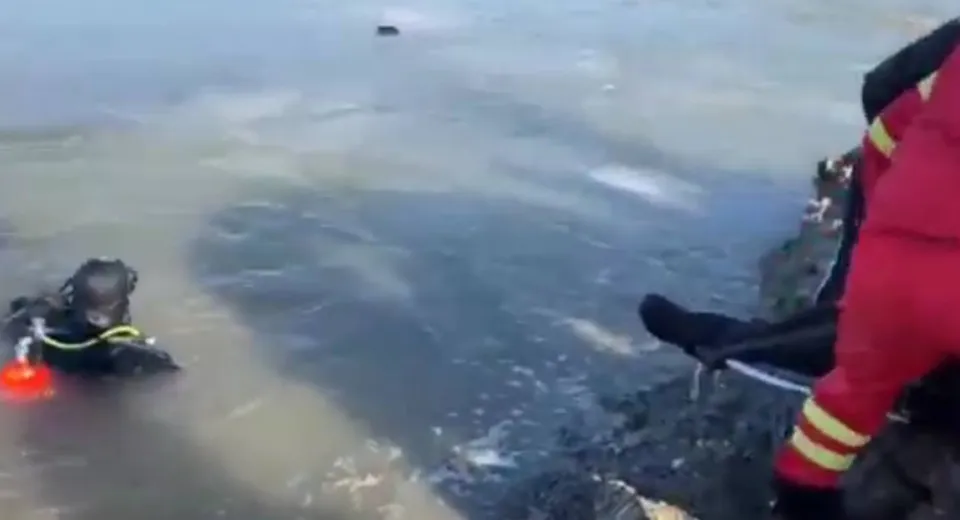 Foto Bărbat din Olt, mort după ce a căzut cu buldoexcavatorul într-un lac 