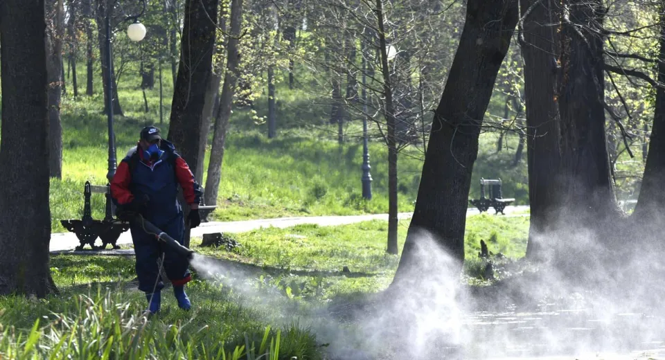 Foto Campanie de dezinfecţie a unităţilor de învăţământ înainte de începerea noului an şcolar