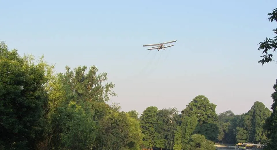 Foto O nouă etapă de dezinsecție aeriană la Craiova 