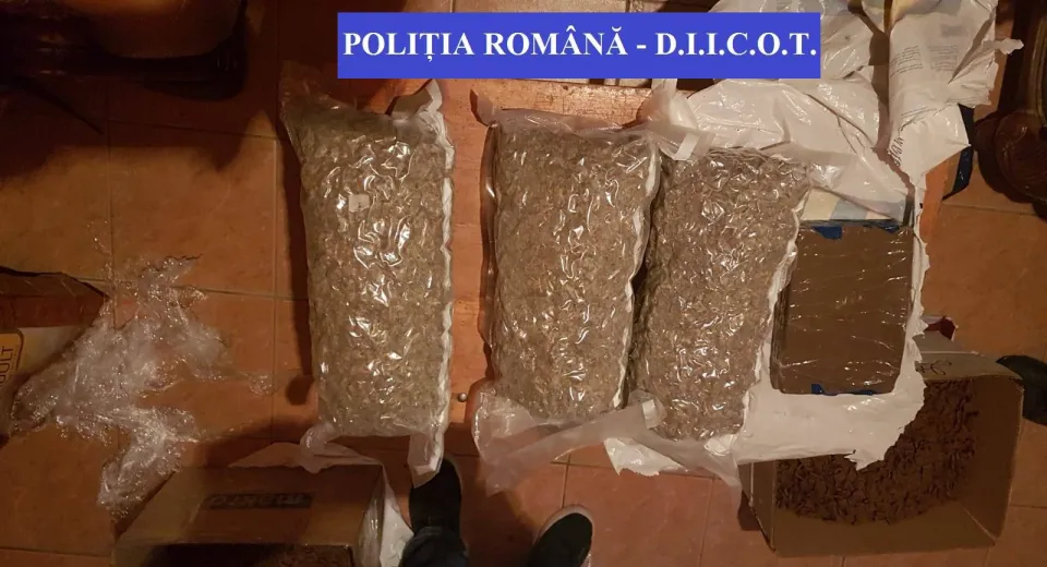 Foto Grupare de traficanți de droguri, destructurată. 59 de kilograme de canabis, confiscate 