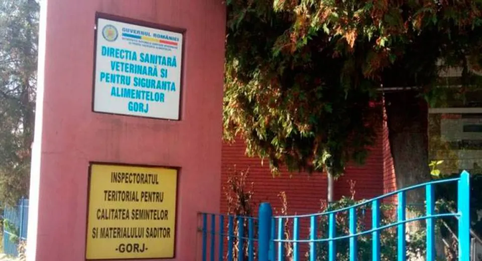 Foto DSV Gorj, amenzi aplicate în urma unui control efectuat în mai multe localități din județ 