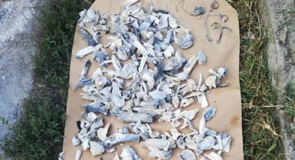 Foto Fragmentele osoase descoperite în locuința lui Dincă și cele excavate sunt de origine animală
