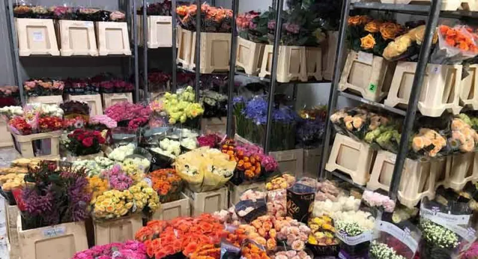 Foto DGAF intensifică acțiunile antifraudă în sectorul florilor și plantelor ornamentale