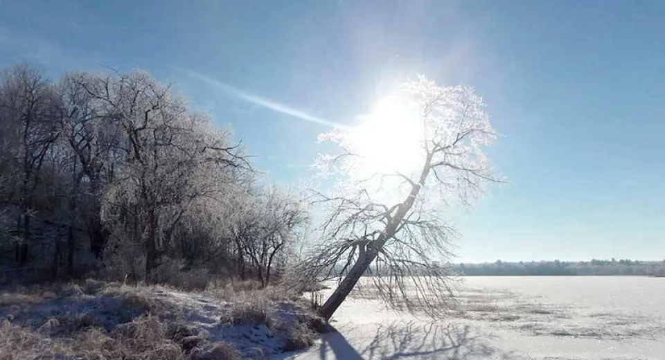Foto Solstiţiul de iarnă 2019. Debutul iernii astronomice şi ultimul curent meteoric al anului