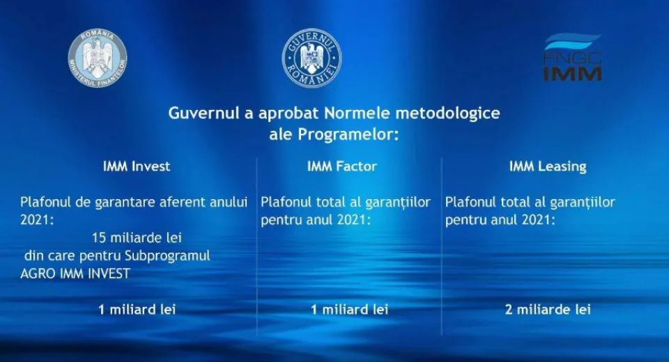 Foto Au fost aprobate Normele metodologice ale Programelor IMM Invest