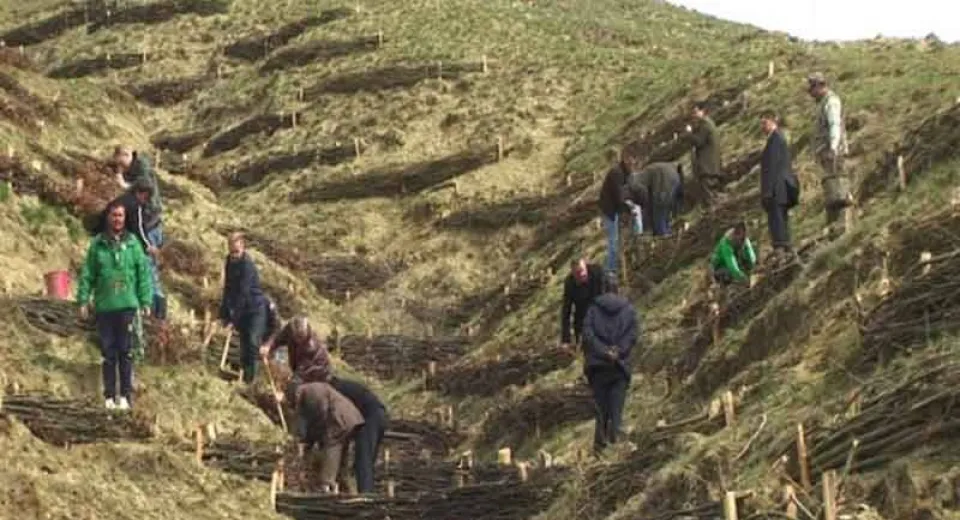 Foto Restabilirea suprafeţelor împădurite, soluţie de atenuare a schimbărilor climatice