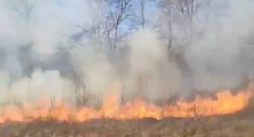 Foto GORJ: 35 de incendii de vegetație uscată, într-o singură zi