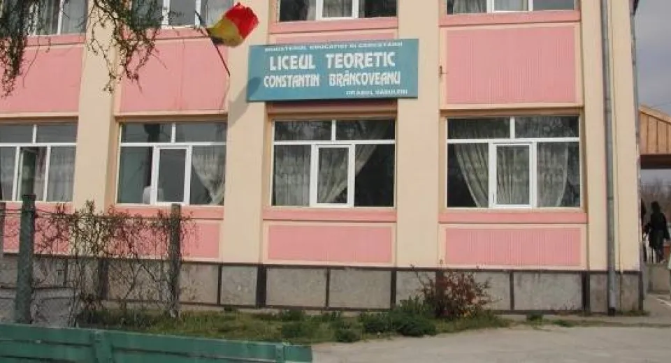 Foto Fosta directoare a liceului din Dăbuleni s-a ales cu dosar penal
