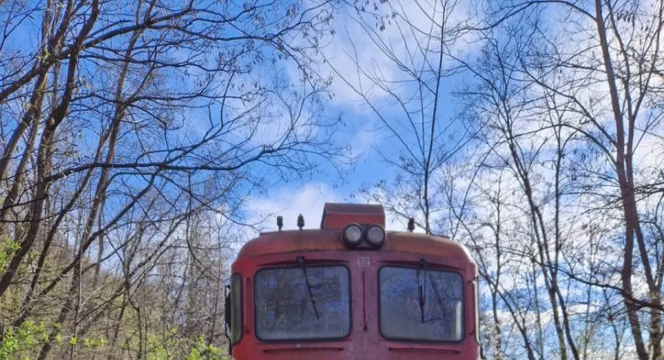 Foto Circulație feroviară oprită între Piatra-Olt și Pitești din cauza unei locomotive defecte