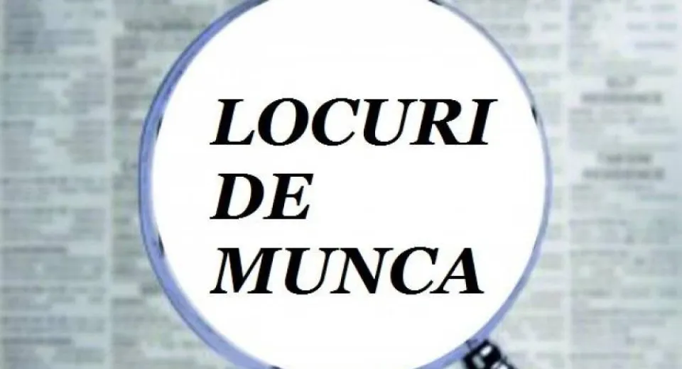 Foto 264 de locuri de muncă, disponibile în județul Dolj  