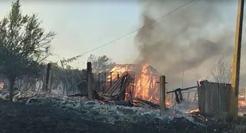 Foto Incendiu violent de vegetație uscată în Mehedinți. Gospodării distruse 