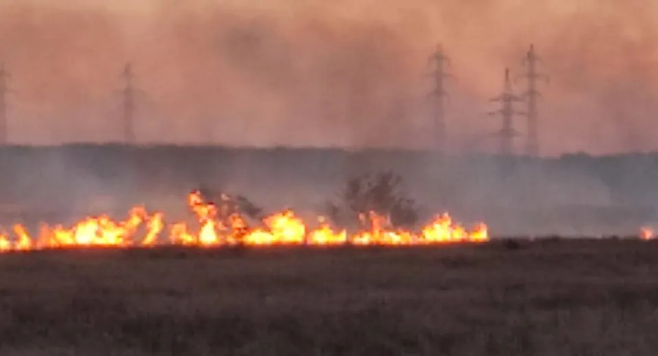 Foto Ard 10 hectare de vegetație și un lan de grâu în județul Olt