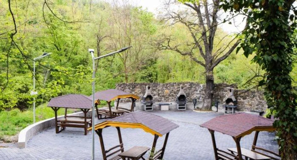 Foto Olt: Reabilitarea pădurii Strehareți a fost finalizată