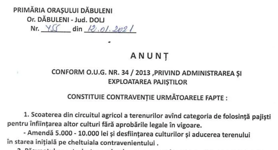 Foto Primăria Dăbuleni a reglementat regimul de folosire a pajiştilor pentru păşunat