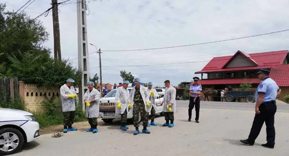 Foto PESTA PORCINĂ FACE RAVAGII. Comandamente speciale au trecut la exterminarea porcilor