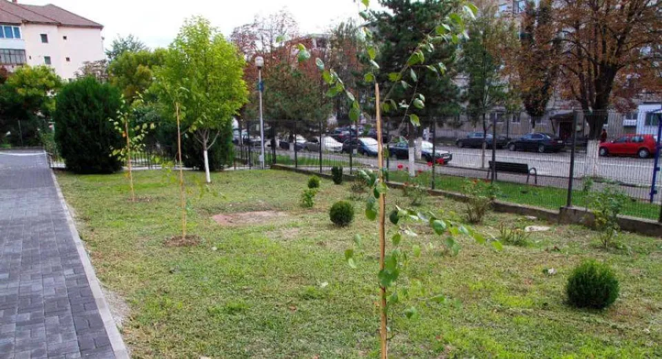 Foto La Râmnicu Vâlcea toamna a debutat cu plantări de arbori şi arbuşti