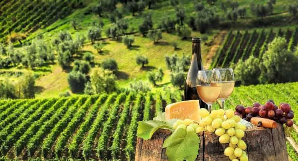 Foto Ajutor financiar de până la un milion de euro pentru fermierii din domeniul strugurilor de masă