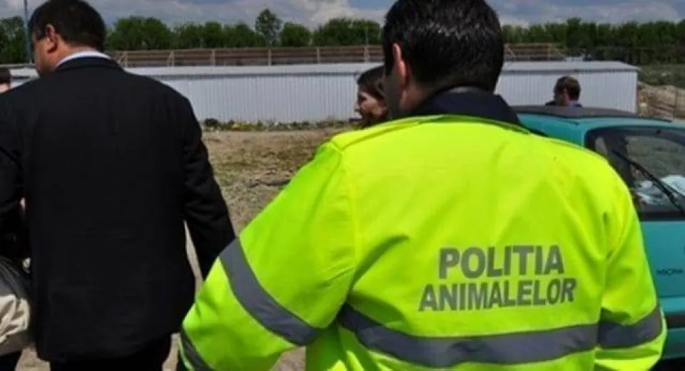 Foto Dosar penal întocmit de polițiști, după ce un gorjean și-a ucis câinele 