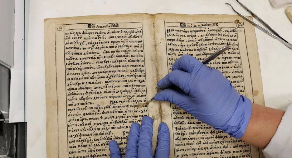 Foto Conferinţă online despre ştiinţa restaurării