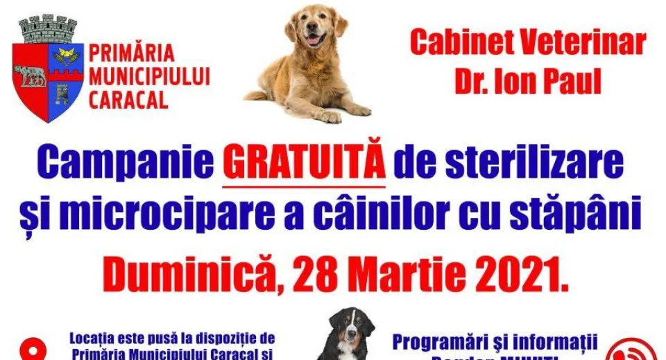 Foto Caracal: Microcipare și sterilizare GRATUITĂ a câinilor cu stăpâni