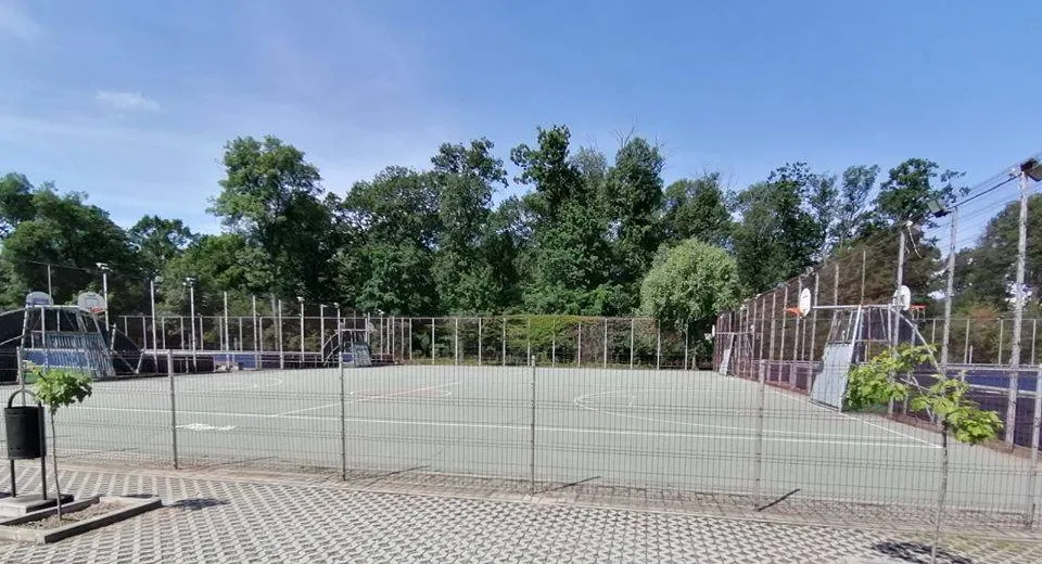 Foto Proiect pentru acces liber pe terenurile de sport din școli